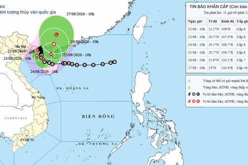 Tin bão khẩn cấp số 4 ngày 22/08/2026: Vùng biển Quảng Ninh đến Hải Phòng gió giật cấp 10