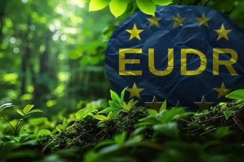EU ban hành hướng dẫn mới về EUDR: Doanh nghiệp Việt Nam cần chủ động hoàn thiện hồ sơ truy xuất nguồn gốc