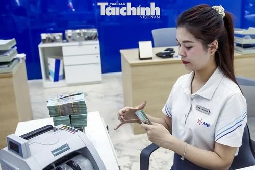 Thị trường tiền tệ tuần 17 - 21/8: Lãi suất qua đêm lùi về 3% khi thanh khoản "dễ thở", tỷ giá USD vẫn “lệch pha”