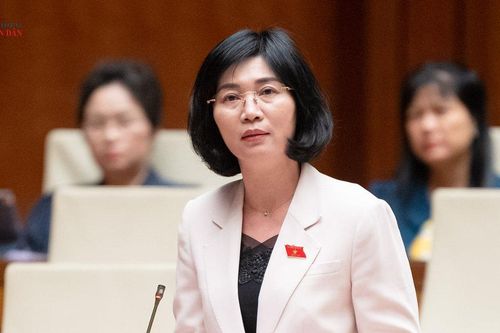 ĐBQH Phùng Thị Hồng Hà (Hà Nội): Cân đối nguồn lực trước khi quyết định danh mục đầu tư
