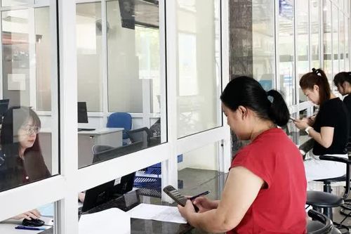 Tập trung thực hiện các giải pháp tăng thu thuế xuất nhập khẩu