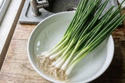 Hành lá mua về đừng vội cho vào tủ lạnh, thêm một bước này để hành tươi lâu hơn