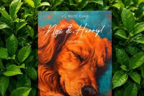 'Ngủ đi, Harry!' - một thế giới đa chiều