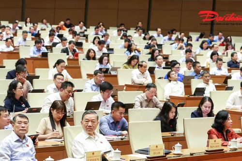 Quốc hội thông qua Luật Dầu khí (sửa đổi), Luật Hải quan và Luật Phổ biến, giáo dục pháp luật (sửa đổi)