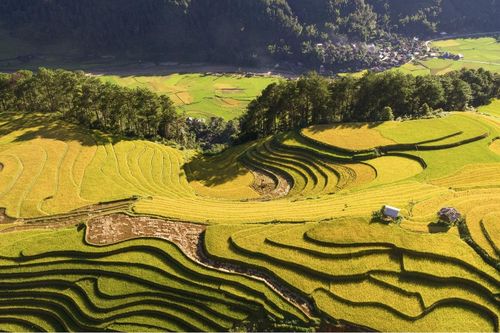 Chấn chỉnh tình trạng thu thêm tiền khách ngắm lúa ở Mù Cang Chải