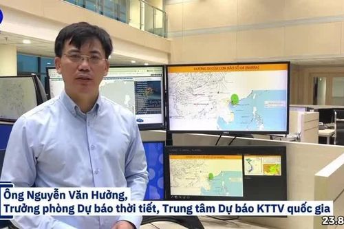 [Video] Chuyên gia lý giải về đường đi dị thường của bão số 4