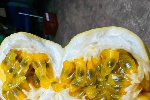 Chanh dây vàng đắt gấp nhiều lần chanh dây thường, khách vẫn săn mua