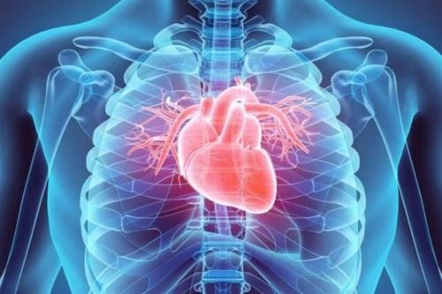 Bệnh tim có thể đi cùng nguy cơ ung thư cao hơn ở nam giới