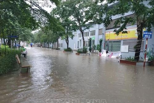 Bão số 4: Hà Nội chủ động ứng phó nguy cơ úng ngập, cây gãy đổ
