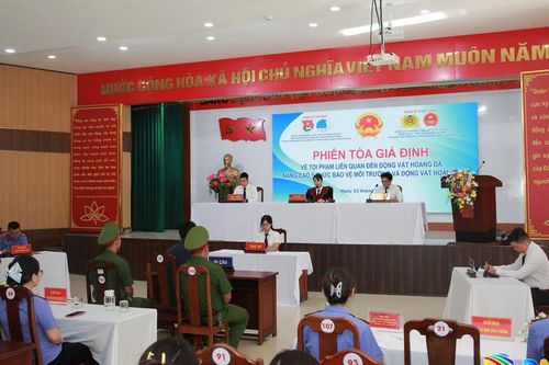 Nâng cao ý thức pháp luật cho thanh niên qua phiên tòa giả định