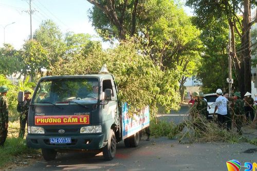 Phường Cẩm Lệ ra quân nạo vét cửa thu nước, dọn vệ sinh môi trường