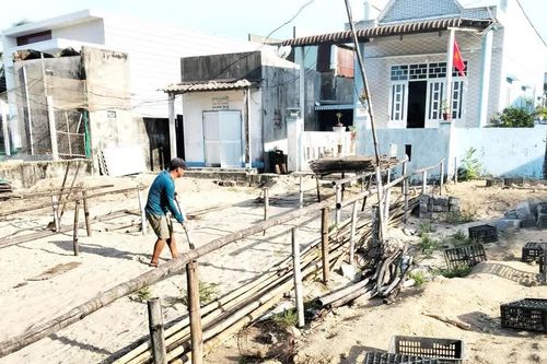 Xã Ðề Gi quyết tâm chấm dứt hoạt động sơ chế mực xà