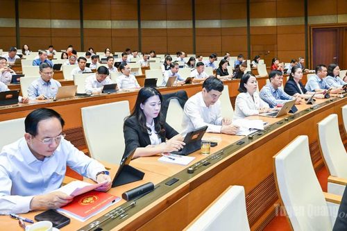 Đại biểu Quốc hội tỉnh tham gia góp ý dự thảo Bộ luật Tố tụng hình sự (sửa đổi)