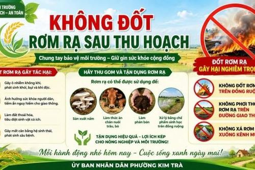 Tp. Huế: Xây dựng không gian xanh ở Kim Trà - Không đốt rơm rạ sau thu hoạch