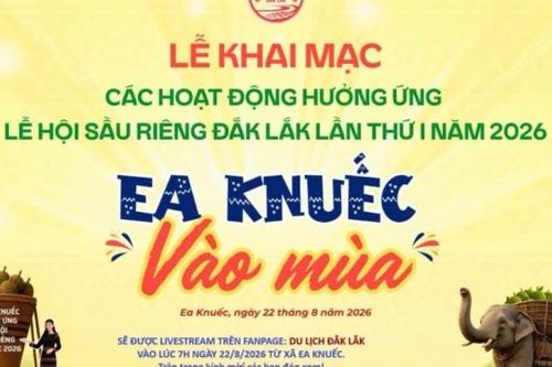 Livestream lễ khai mạc các hoạt động hưởng ứng Lễ hội Sầu riêng Đắk Lắk tại Xã Ea Knuếc