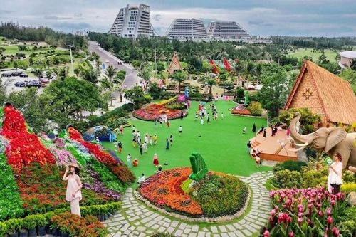 Ngắm ngàn hoa bung nở tại phố biển Quy Nhơn
