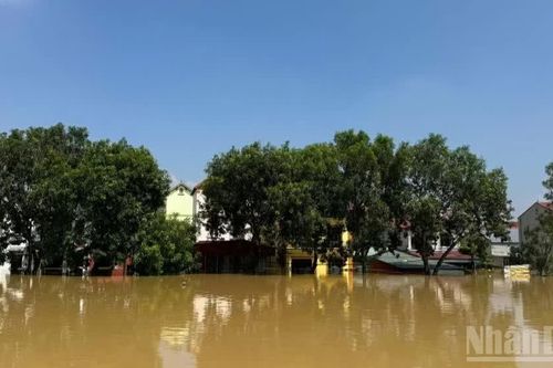 Báo động lũ trên sông Tích và sông Cầu