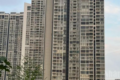 Sẽ tiếp tục hoàn thiện hành lang pháp lý theo hướng đồng bộ, minh bạch, ổn định và có tính dự báo cao