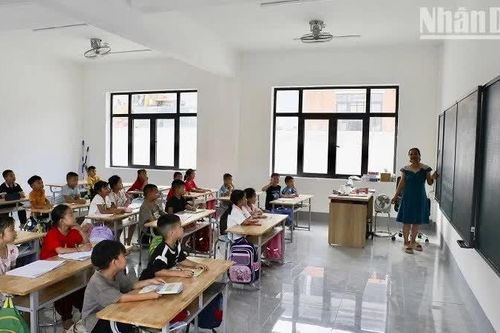 Điện Biên giảm 272 đơn vị, cơ sở giáo dục công lập