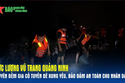 Lực lượng vũ trang Quảng Ninh xuyên đêm gia cố tuyến đê xung yếu, bảo đảm an toàn cho nhân dân