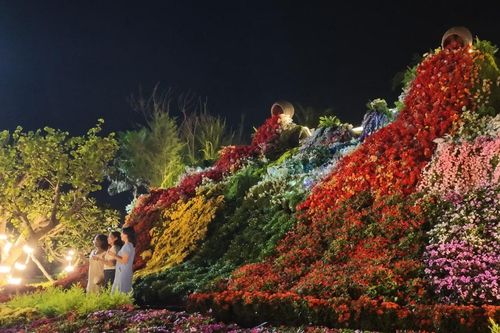 Ngàn hoa đại ngàn khoe sắc giữa phố biển Quy Nhơn