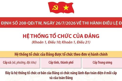 Quy định số 208-QĐ/TW: Hệ thống tổ chức của Đảng