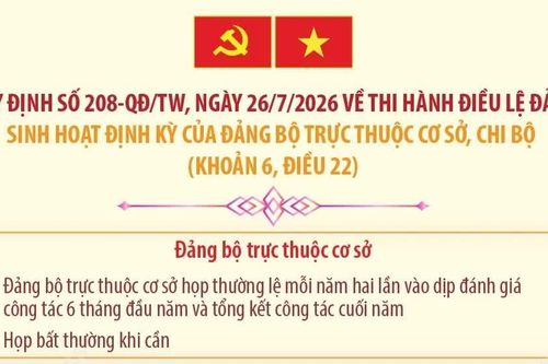 Quy định 208-QĐ/TW: Sinh hoạt định kỳ của đảng bộ trực thuộc cơ sở, chi bộ