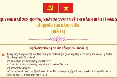 Quy định 208-QĐ/TW: Quyền của đảng viên