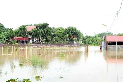 Thái Nguyên: Nước sông dâng cao gây ngập nhiều khu dân cư ven sông Cầu