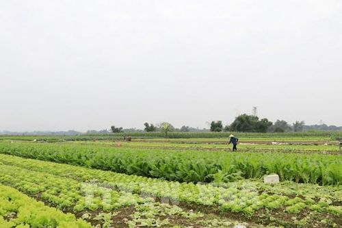Lào Cai hỗ trợ phụ nữ khởi nghiệp giai đoạn 2026 - 2035
