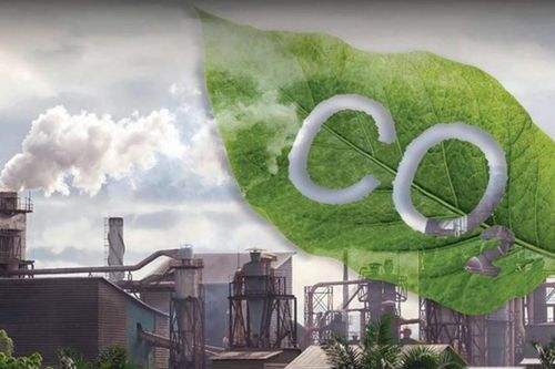 Đề xuất phân cấp một số thủ tục tổ chức, phát triển thị trường carbon xuống địa phương