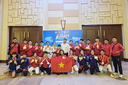 Jujitsu Đồng Nai giành 18 huy chương vàng Giải Đông Nam Á