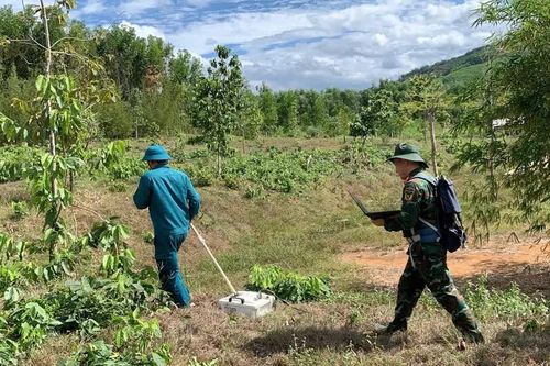 Sử dụng radar xuyên đất tìm kiếm hài cốt liệt sĩ