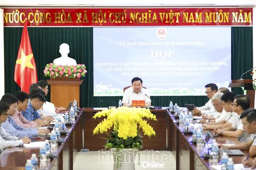 Gỡ từng vướng mắc để bảo đảm tiến độ Dự án Nhà máy Điện hạt nhân Ninh Thuận 1