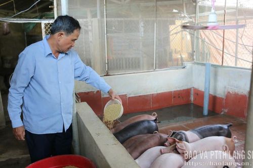 Nông dân Hữu Lũng xây dựng nông thôn mới