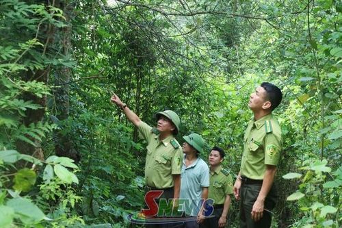 Trách nhiệm cộng đồng để bảo vệ rừng bền vững