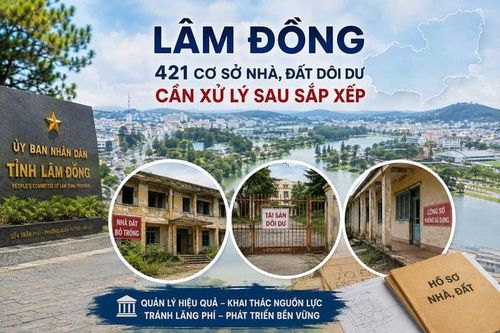 Lâm Đồng có 421 cơ sở nhà, đất dôi dư, 280 cơ sở đang bỏ trống