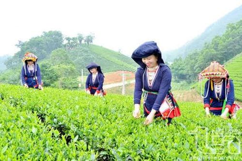 Hơn 808.000 tỷ đồng triển khai Chương trình phát triển văn hóa - xã hội, nông thôn, dân tộc và miền núi
