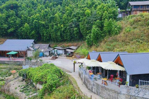 Lào Cai: Đầu tư cho sinh kế, hạ tầng và chất lượng sống ở nông thôn