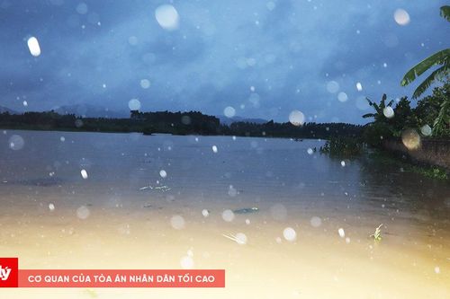 Bắc Ninh: Hơn 8.300 hecta lúa, hoa màu bị ngập úng
