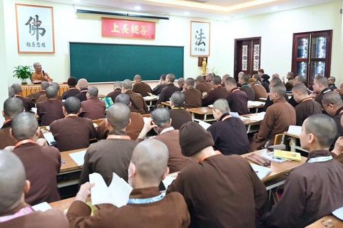 Giữ căn cốt Việt trong giáo dục hiện đại