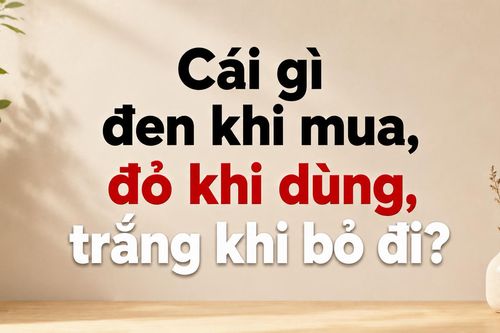 Cái gì đen khi mua, đỏ khi dùng, trắng khi bỏ đi?