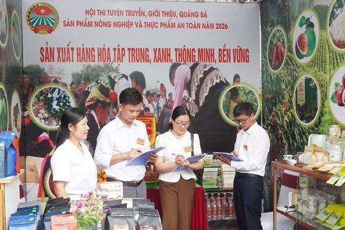 Điện Biên quảng bá nông sản an toàn, nâng tầm giá trị sản phẩm