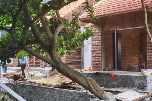 Ninh Bình: Phát hiện 11 trường hợp vi phạm trong Di sản Tràng An