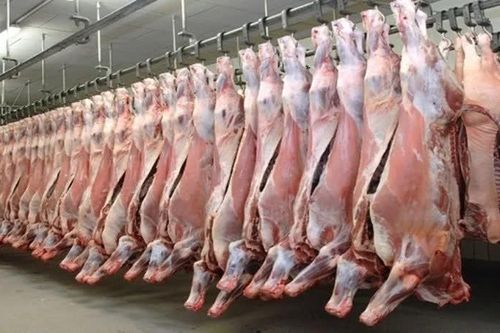Hơn 100.000 tấn thịt Ấn Độ vào Việt Nam, phần lớn là thịt trâu đông lạnh
