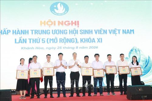 Lấy phong trào tình nguyện và sự trưởng thành làm thước đo chất lượng