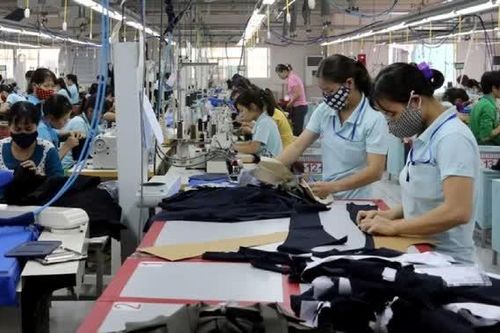 Giảm thuế 30%: Hơn 865.000 doanh nghiệp và 2,7 triệu hộ kinh doanh được hưởng lợi