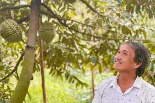 Giải pháp để 'trái cây vua' giữ vững vị thế