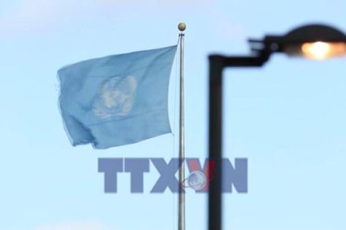 LHQ kêu gọi hợp tác xây dựng cơ chế vận tải biển
