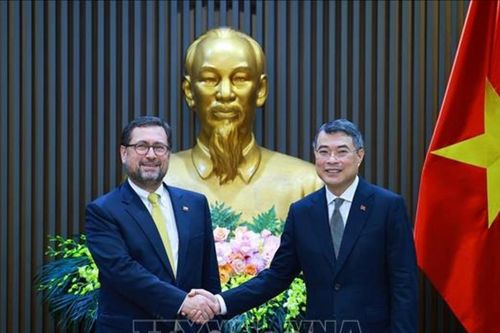 Việt Nam - Chile thúc đẩy kết nối chuỗi cung ứng, mở rộng thương mại và đầu tư